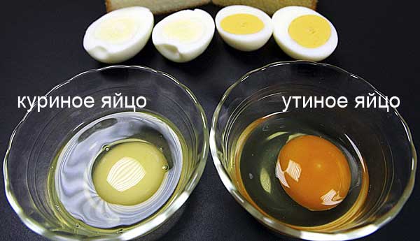 Заметные отличия