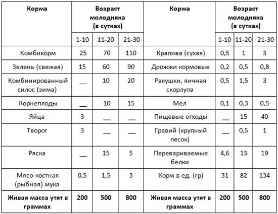 Таблица норм питания утят в разном возрасте