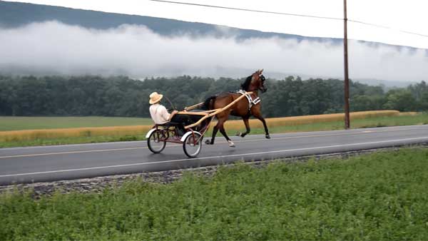 Шаг 4