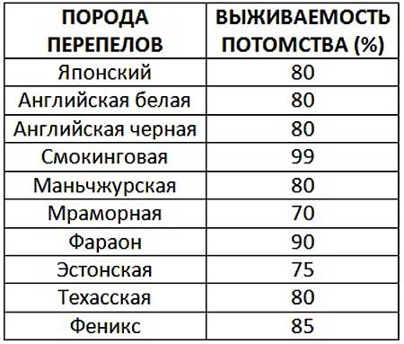Таблица процентного соотношения выживаемости перепелят распространенных пород