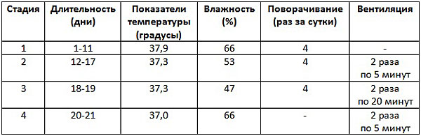 Таблица инкубации