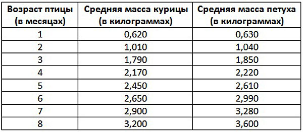 Вес птицы по мере роста