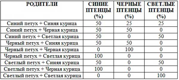 Памятка для составления пар