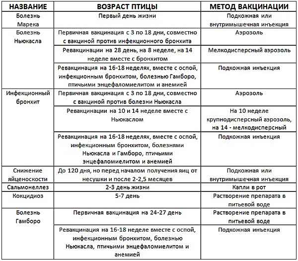 Таблица вакцинации цыплят