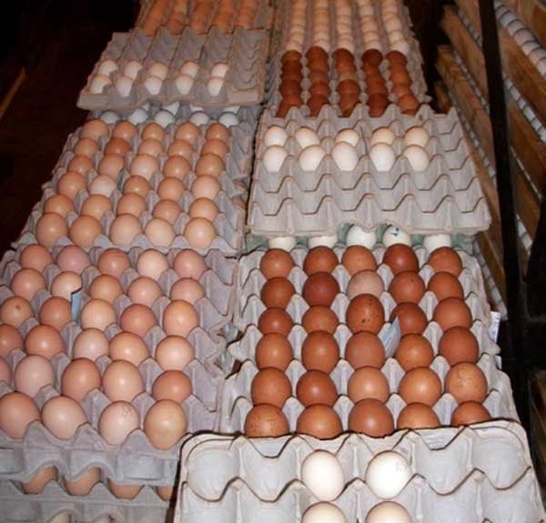 Собрали на продажу