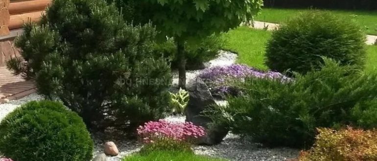 4 параметра для выбора ландшафтной студии