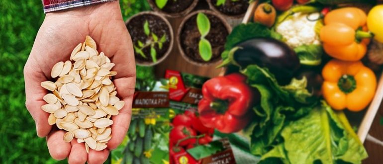 Семена овощных и цветочных культур: как выбрать и хранить